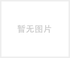 XGA- GPRS 1003 大功率S GPRS 联网报 警器